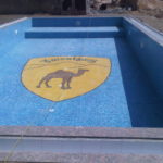 Hotel Jaisalgarh Pool 04