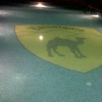 Hotel Jaisalgarh Pool 01