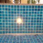 Lucknow Ritz Waterbody 16