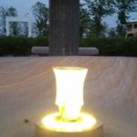Lucknow Ritz Waterbody 20